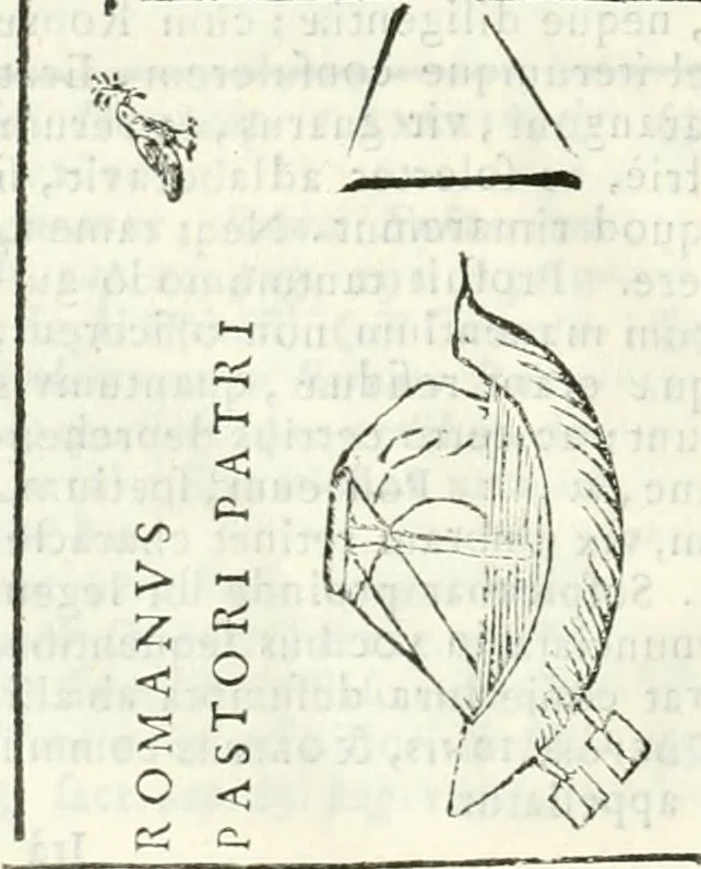 An illustration from Dissertatio et animadversiones ad nuper inventum Severae martyris epitaphium, 1734, leaf 223