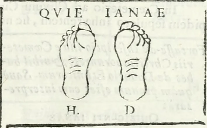 An illustration from Dissertatio et animadversiones ad nuper inventum Severae martyris epitaphium, 1734, leaf 94