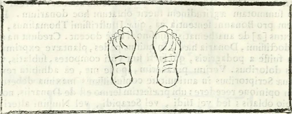 An illustration from Dissertatio et animadversiones ad nuper inventum Severae martyris epitaphium, 1734, leaf 95