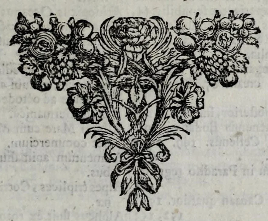 An illustration from Dissertationes de admirandis mundi cataractis : supra & subterraneis, earumque principio, elementorum circulatione, ubi eadem occasione aestus maris reflui, vera ac genuina causa asseritur, nec non terrestri ac primigenio paradiso, locus situsque verus in Palaestina restituitur, in tabula chorographica ostenditur, & contra Utopios, Indianos, Mesopotamios aliosque asseritur, 1678, leaf 303
