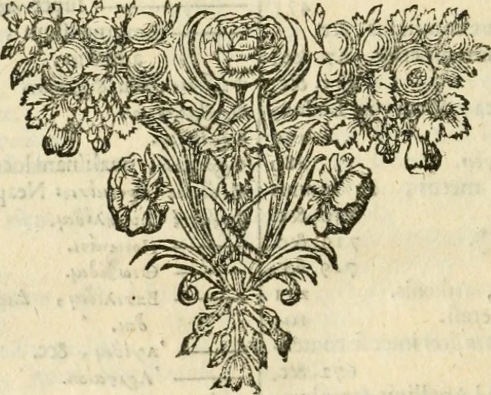 An illustration from Dissertationes IX, antiquitatibus, quin et marmoribus : cum Romanis, tum potissimum Graecis, illustrandis inservientes, 1702, leaf 865