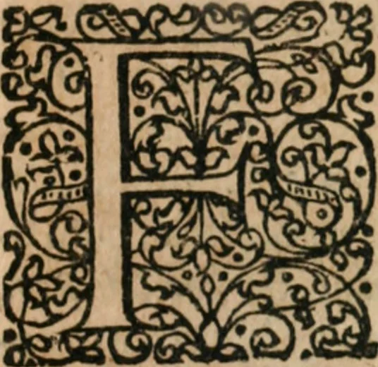 An illustration from Dissertationes juris publici de controversiis quibusdam illustribus superiori seculo, scriptis publicis, agitatis, opus vere novum et aureum, 1680, leaf 12