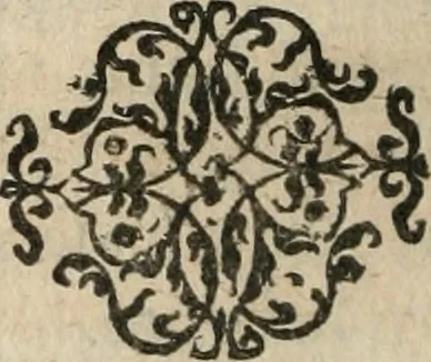 An illustration from Dissertationes juris publici de controversiis quibusdam illustribus superiori seculo, scriptis publicis, agitatis, opus vere novum et aureum, 1680, leaf 127