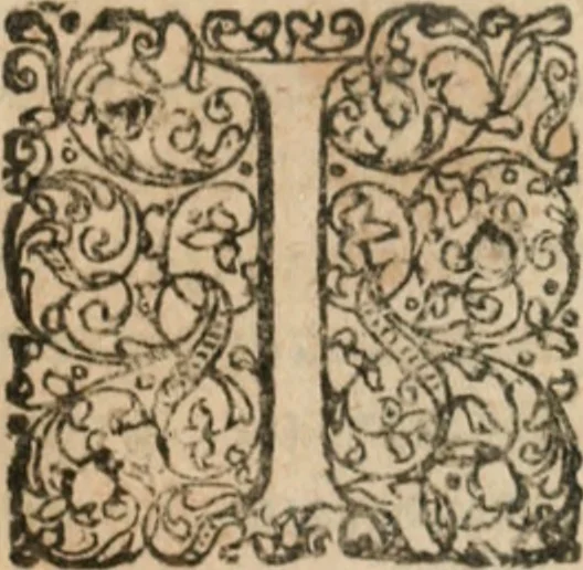 An illustration from Dissertationes juris publici de controversiis quibusdam illustribus superiori seculo, scriptis publicis, agitatis, opus vere novum et aureum, 1680, leaf 128