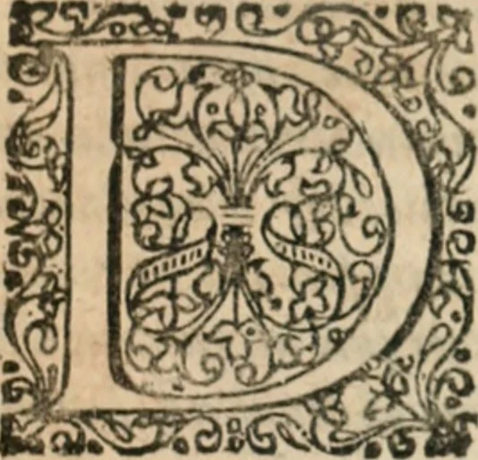 An illustration from Dissertationes juris publici de controversiis quibusdam illustribus superiori seculo, scriptis publicis, agitatis, opus vere novum et aureum, 1680, leaf 152