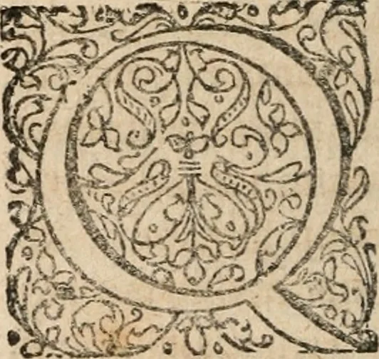 An illustration from Dissertationes juris publici de controversiis quibusdam illustribus superiori seculo, scriptis publicis, agitatis, opus vere novum et aureum, 1680, leaf 183