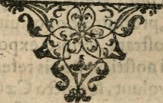 An illustration from Dissertationes juris publici de controversiis quibusdam illustribus superiori seculo, scriptis publicis, agitatis, opus vere novum et aureum, 1680, leaf 207