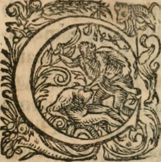 An illustration from Dissertationes juris publici de controversiis quibusdam illustribus superiori seculo, scriptis publicis, agitatis, opus vere novum et aureum, 1680, leaf 208
