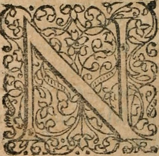 An illustration from Dissertationes juris publici de controversiis quibusdam illustribus superiori seculo, scriptis publicis, agitatis, opus vere novum et aureum, 1680, leaf 247