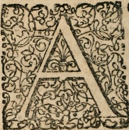 An illustration from Dissertationes juris publici de controversiis quibusdam illustribus superiori seculo, scriptis publicis, agitatis, opus vere novum et aureum, 1680, leaf 269