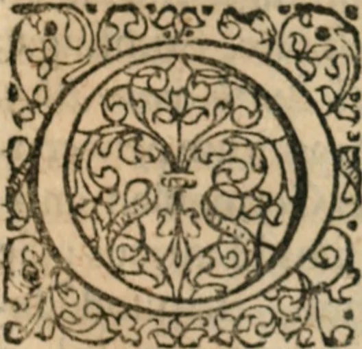 An illustration from Dissertationes juris publici de controversiis quibusdam illustribus superiori seculo, scriptis publicis, agitatis, opus vere novum et aureum, 1680, leaf 308