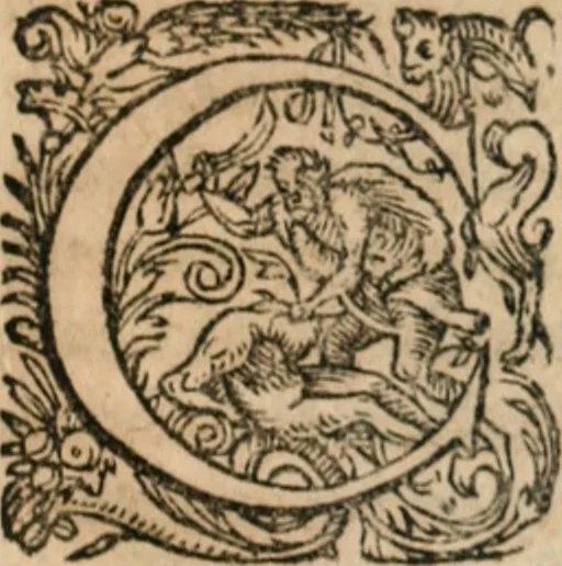 An illustration from Dissertationes juris publici de controversiis quibusdam illustribus superiori seculo, scriptis publicis, agitatis, opus vere novum et aureum, 1680, leaf 340