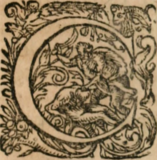 An illustration from Dissertationes juris publici de controversiis quibusdam illustribus superiori seculo, scriptis publicis, agitatis, opus vere novum et aureum, 1680, leaf 372