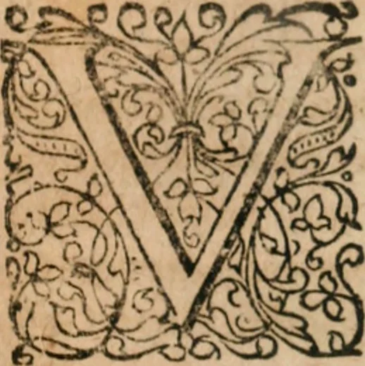 An illustration from Dissertationes juris publici de controversiis quibusdam illustribus superiori seculo, scriptis publicis, agitatis, opus vere novum et aureum, 1680, leaf 388