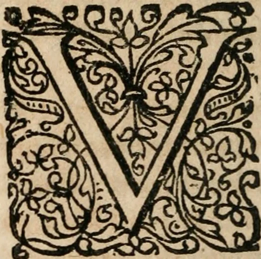 An illustration from Dissertationes juris publici de controversiis quibusdam illustribus superiori seculo, scriptis publicis, agitatis, opus vere novum et aureum, 1680, leaf 51