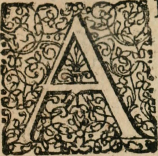 An illustration from Dissertationes juris publici de controversiis quibusdam illustribus superiori seculo, scriptis publicis, agitatis, opus vere novum et aureum, 1680, leaf 74