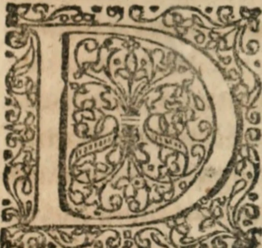 An illustration from Dissertationes juris publici de controversiis quibusdam illustribus superiori seculo, scriptis publicis, agitatis, opus vere novum et aureum, 1680, leaf 96