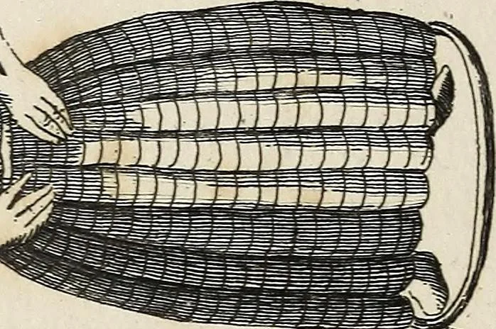 An illustration from A dissertation on the Oriental trinities, 1801, leaf 354