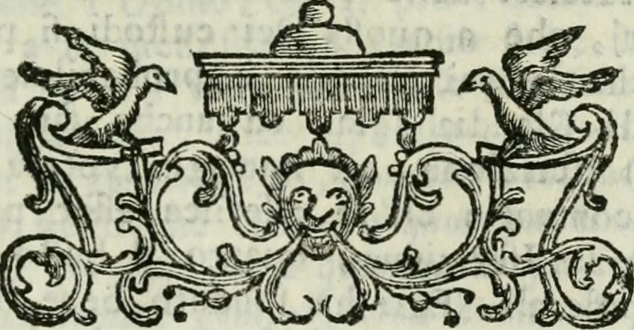 An illustration from Dissertazioni e lettere filologiche antiquarie, 1753, leaf 96