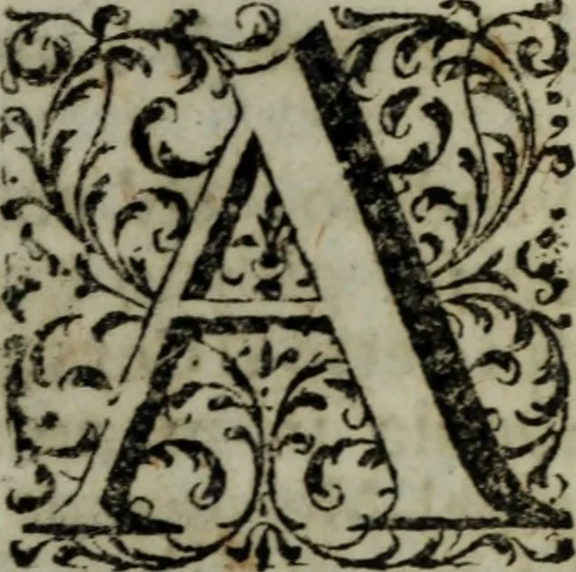 An illustration from Distinto ragguaglio dell'ottava maraviglia del mondo, o sia, della gran metropolitana dell'Insubria volgarmente detta il duomo di Milano, cominciando dalla sua origine sino allo stato presente : in cui vengono minutamente, e con molta diligenza descritte tutte le sue parti tanto esteriori, come interiori, con tutto ciò, che in esso si contiene di ammirabile, di vago, di pregievole, e di sacrosanto, oltre diverse altre notizie intorno alla grandezza, magnificenza, e prerogative di questa santa ambrosiana chiesa, e finalmente si descrivono alcune chiese di particolar divozione, con altre cose notabili di questa insigne metropoli .., 1739, leaf 114