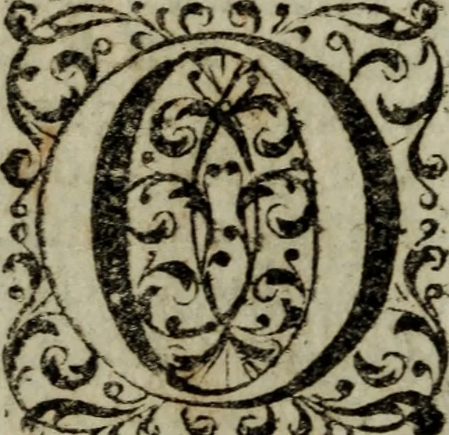 An illustration from Distinto ragguaglio dell'ottava maraviglia del mondo, o sia, della gran metropolitana dell'Insubria volgarmente detta il duomo di Milano, cominciando dalla sua origine sino allo stato presente : in cui vengono minutamente, e con molta diligenza descritte tutte le sue parti tanto esteriori, come interiori, con tutto ciò, che in esso si contiene di ammirabile, di vago, di pregievole, e di sacrosanto, oltre diverse altre notizie intorno alla grandezza, magnificenza, e prerogative di questa santa ambrosiana chiesa, e finalmente si descrivono alcune chiese di particolar divozione, con altre cose notabili di questa insigne metropoli .., 1739, leaf 137