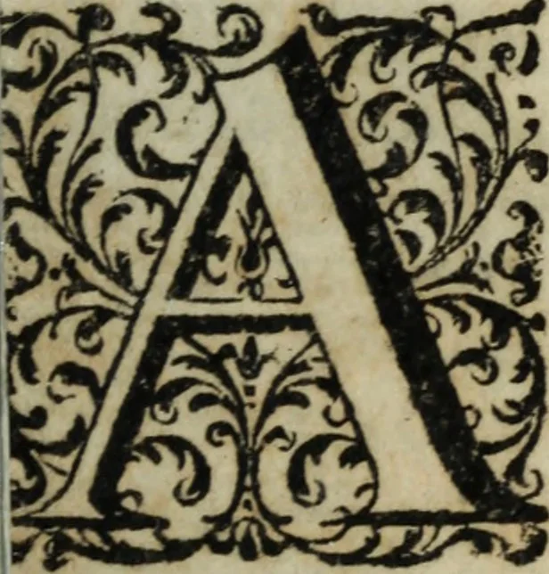 An illustration from Distinto ragguaglio dell'ottava maraviglia del mondo, o sia, della gran metropolitana dell'Insubria volgarmente detta il duomo di Milano, cominciando dalla sua origine sino allo stato presente : in cui vengono minutamente, e con molta diligenza descritte tutte le sue parti tanto esteriori, come interiori, con tutto ciò, che in esso si contiene di ammirabile, di vago, di pregievole, e di sacrosanto, oltre diverse altre notizie intorno alla grandezza, magnificenza, e prerogative di questa santa ambrosiana chiesa, e finalmente si descrivono alcune chiese di particolar divozione, con altre cose notabili di questa insigne metropoli .., 1739, leaf 18