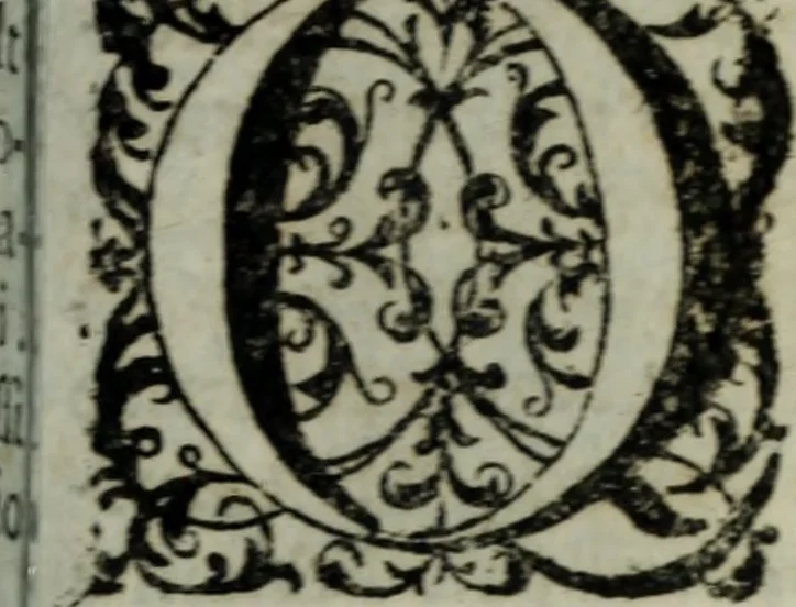 An illustration from Distinto ragguaglio dell'ottava maraviglia del mondo, o sia, della gran metropolitana dell'Insubria volgarmente detta il duomo di Milano, cominciando dalla sua origine sino allo stato presente : in cui vengono minutamente, e con molta diligenza descritte tutte le sue parti tanto esteriori, come interiori, con tutto ciò, che in esso si contiene di ammirabile, di vago, di pregievole, e di sacrosanto, oltre diverse altre notizie intorno alla grandezza, magnificenza, e prerogative di questa santa ambrosiana chiesa, e finalmente si descrivono alcune chiese di particolar divozione, con altre cose notabili di questa insigne metropoli .., 1739, leaf 188