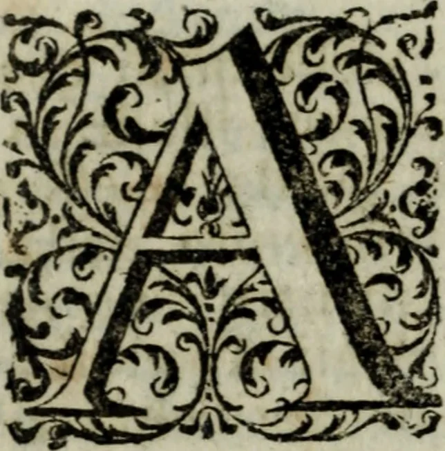 An illustration from Distinto ragguaglio dell'ottava maraviglia del mondo, o sia, della gran metropolitana dell'Insubria volgarmente detta il duomo di Milano, cominciando dalla sua origine sino allo stato presente : in cui vengono minutamente, e con molta diligenza descritte tutte le sue parti tanto esteriori, come interiori, con tutto ciò, che in esso si contiene di ammirabile, di vago, di pregievole, e di sacrosanto, oltre diverse altre notizie intorno alla grandezza, magnificenza, e prerogative di questa santa ambrosiana chiesa, e finalmente si descrivono alcune chiese di particolar divozione, con altre cose notabili di questa insigne metropoli .., 1739, leaf 191