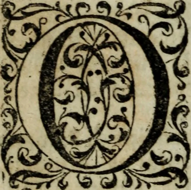 An illustration from Distinto ragguaglio dell'ottava maraviglia del mondo, o sia, della gran metropolitana dell'Insubria volgarmente detta il duomo di Milano, cominciando dalla sua origine sino allo stato presente : in cui vengono minutamente, e con molta diligenza descritte tutte le sue parti tanto esteriori, come interiori, con tutto ciò, che in esso si contiene di ammirabile, di vago, di pregievole, e di sacrosanto, oltre diverse altre notizie intorno alla grandezza, magnificenza, e prerogative di questa santa ambrosiana chiesa, e finalmente si descrivono alcune chiese di particolar divozione, con altre cose notabili di questa insigne metropoli .., 1739, leaf 203