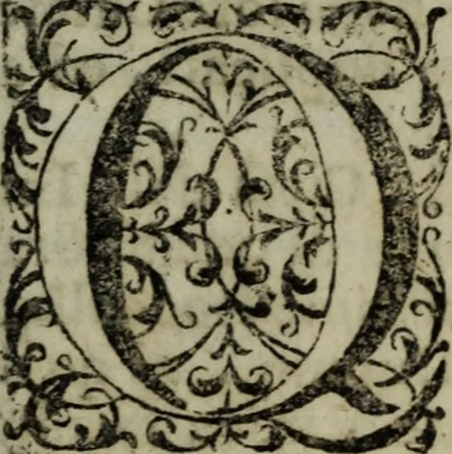 An illustration from Distinto ragguaglio dell'ottava maraviglia del mondo, o sia, della gran metropolitana dell'Insubria volgarmente detta il duomo di Milano, cominciando dalla sua origine sino allo stato presente : in cui vengono minutamente, e con molta diligenza descritte tutte le sue parti tanto esteriori, come interiori, con tutto ciò, che in esso si contiene di ammirabile, di vago, di pregievole, e di sacrosanto, oltre diverse altre notizie intorno alla grandezza, magnificenza, e prerogative di questa santa ambrosiana chiesa, e finalmente si descrivono alcune chiese di particolar divozione, con altre cose notabili di questa insigne metropoli .., 1739, leaf 24