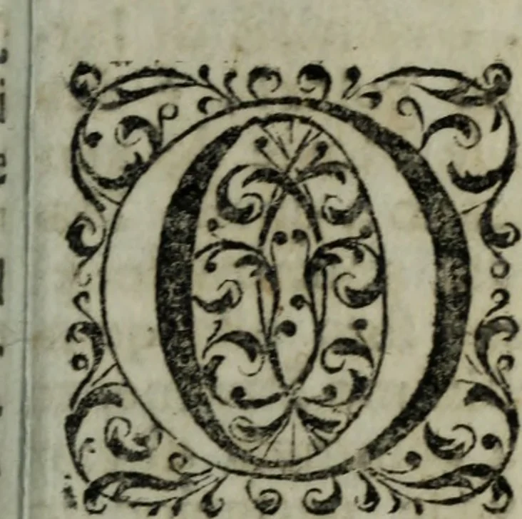 An illustration from Distinto ragguaglio dell'ottava maraviglia del mondo, o sia, della gran metropolitana dell'Insubria volgarmente detta il duomo di Milano, cominciando dalla sua origine sino allo stato presente : in cui vengono minutamente, e con molta diligenza descritte tutte le sue parti tanto esteriori, come interiori, con tutto ciò, che in esso si contiene di ammirabile, di vago, di pregievole, e di sacrosanto, oltre diverse altre notizie intorno alla grandezza, magnificenza, e prerogative di questa santa ambrosiana chiesa, e finalmente si descrivono alcune chiese di particolar divozione, con altre cose notabili di questa insigne metropoli .., 1739, leaf 32