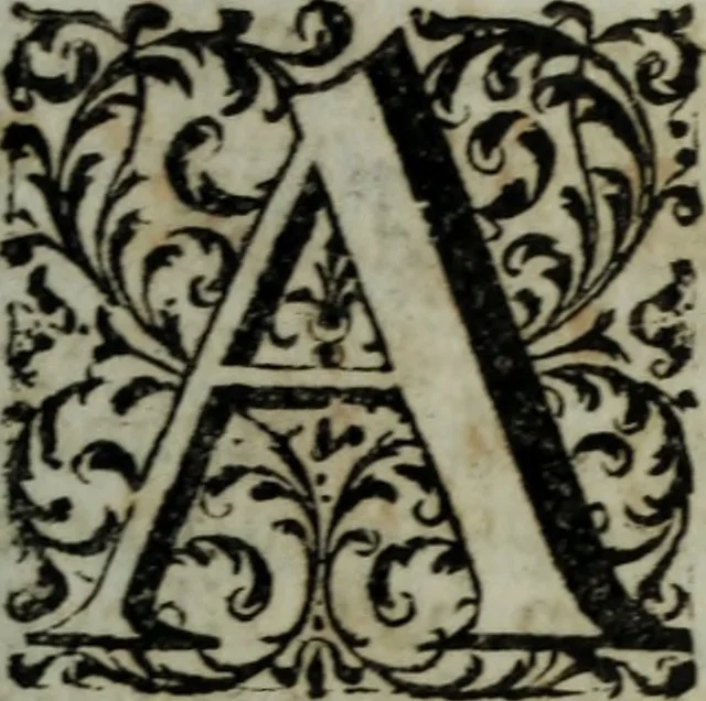 An illustration from Distinto ragguaglio dell'ottava maraviglia del mondo, o sia, della gran metropolitana dell'Insubria volgarmente detta il duomo di Milano, cominciando dalla sua origine sino allo stato presente : in cui vengono minutamente, e con molta diligenza descritte tutte le sue parti tanto esteriori, come interiori, con tutto ciò, che in esso si contiene di ammirabile, di vago, di pregievole, e di sacrosanto, oltre diverse altre notizie intorno alla grandezza, magnificenza, e prerogative di questa santa ambrosiana chiesa, e finalmente si descrivono alcune chiese di particolar divozione, con altre cose notabili di questa insigne metropoli .., 1739, leaf 34