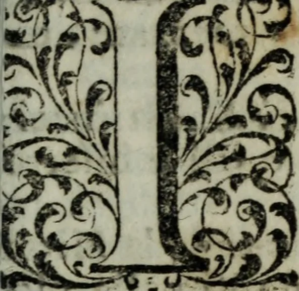 An illustration from Distinto ragguaglio dell'ottava maraviglia del mondo, o sia, della gran metropolitana dell'Insubria volgarmente detta il duomo di Milano, cominciando dalla sua origine sino allo stato presente : in cui vengono minutamente, e con molta diligenza descritte tutte le sue parti tanto esteriori, come interiori, con tutto ciò, che in esso si contiene di ammirabile, di vago, di pregievole, e di sacrosanto, oltre diverse altre notizie intorno alla grandezza, magnificenza, e prerogative di questa santa ambrosiana chiesa, e finalmente si descrivono alcune chiese di particolar divozione, con altre cose notabili di questa insigne metropoli .., 1739, leaf 72