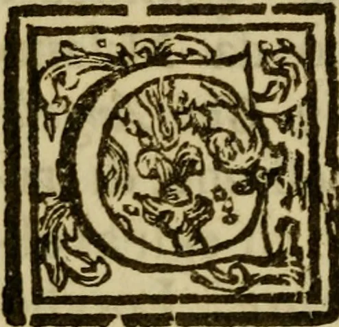 An illustration from Distinto rapporto delle dipinture, che trovansi nelle chiese della città e sobborghi di Cremona, 1762, leaf 371
