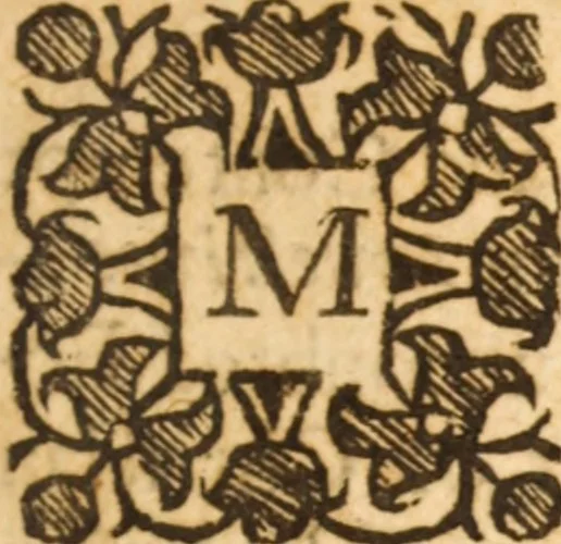 An illustration from A fresh discovery of some prodigious new wandring blasing stars and firebrands stiling themselves New Lights, firing our Church and State into new combustions .., 1645, leaf 8