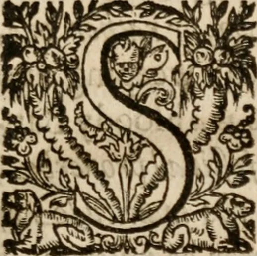 An illustration from The diuells banket, 1614, leaf 138