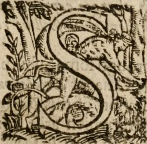 An illustration from The diuells banket, 1614, leaf 142