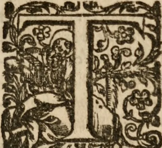 An illustration from The diuells banket, 1614, leaf 206
