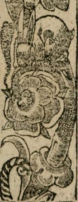 An illustration from Diuerse imprese accommodate a diuerse moralità : con versi che i loro significati dichiarano, 1549, leaf 101