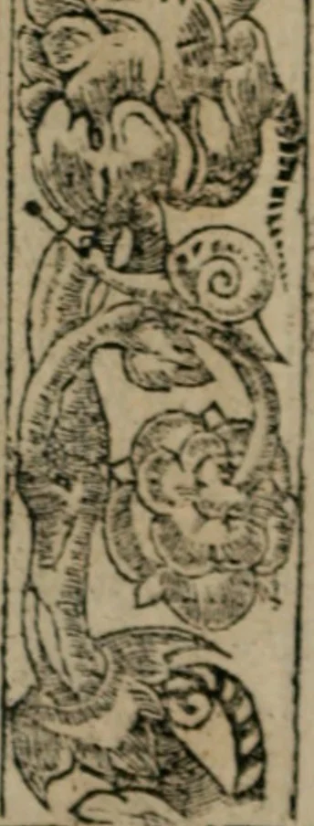 An illustration from Diuerse imprese accommodate a diuerse moralità : con versi che i loro significati dichiarano, 1549, leaf 101