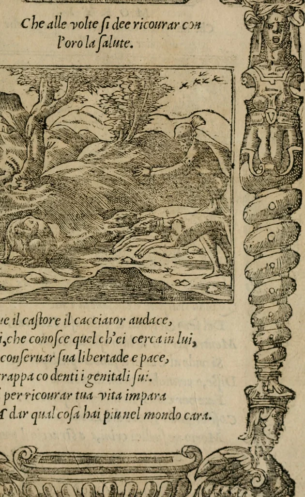 An illustration from Diuerse imprese accommodate a diuerse moralità : con versi che i loro significati dichiarano, 1549, leaf 102