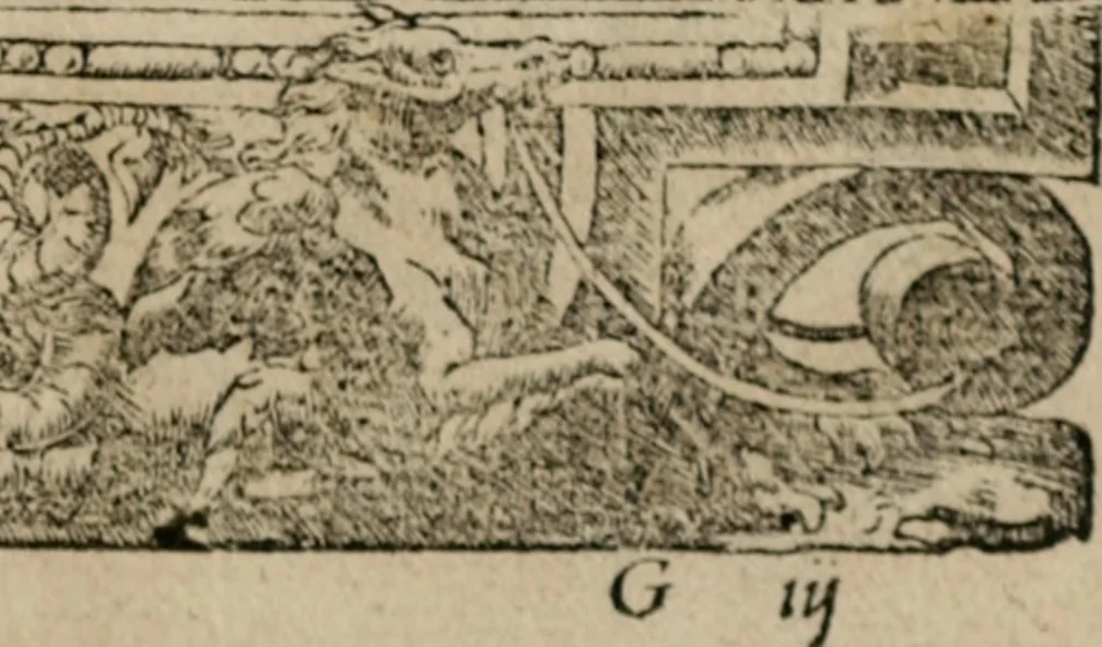 An illustration from Diuerse imprese accommodate a diuerse moralità : con versi che i loro significati dichiarano, 1549, leaf 104
