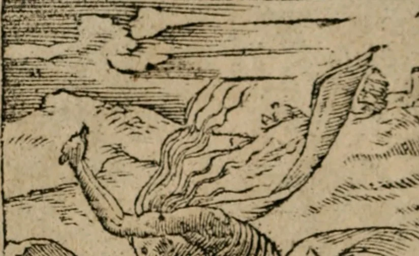 An illustration from Diuerse imprese accommodate a diuerse moralità : con versi che i loro significati dichiarano, 1549, leaf 105
