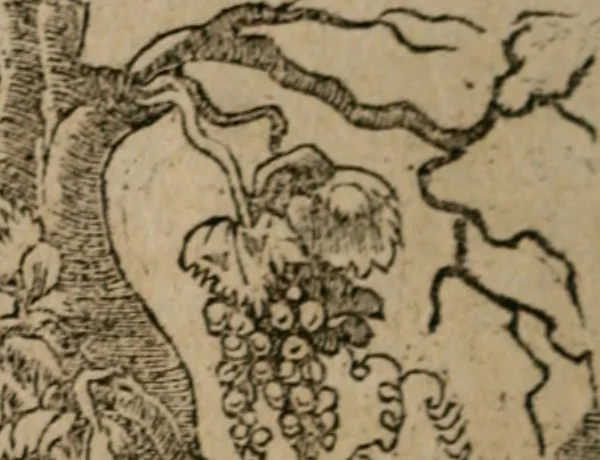 An illustration from Diuerse imprese accommodate a diuerse moralità : con versi che i loro significati dichiarano, 1549, leaf 107