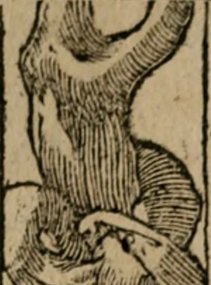 An illustration from Diuerse imprese accommodate a diuerse moralità : con versi che i loro significati dichiarano, 1549, leaf 111