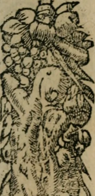 An illustration from Diuerse imprese accommodate a diuerse moralità : con versi che i loro significati dichiarano, 1549, leaf 114