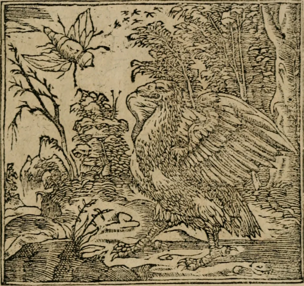 An illustration from Diuerse imprese accommodate a diuerse moralità : con versi che i loro significati dichiarano, 1549, leaf 114