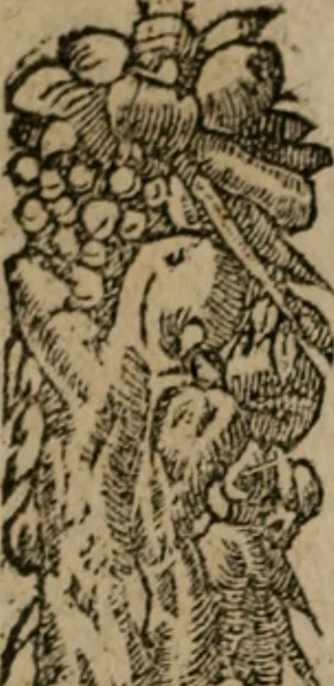 An illustration from Diuerse imprese accommodate a diuerse moralità : con versi che i loro significati dichiarano, 1549, leaf 115