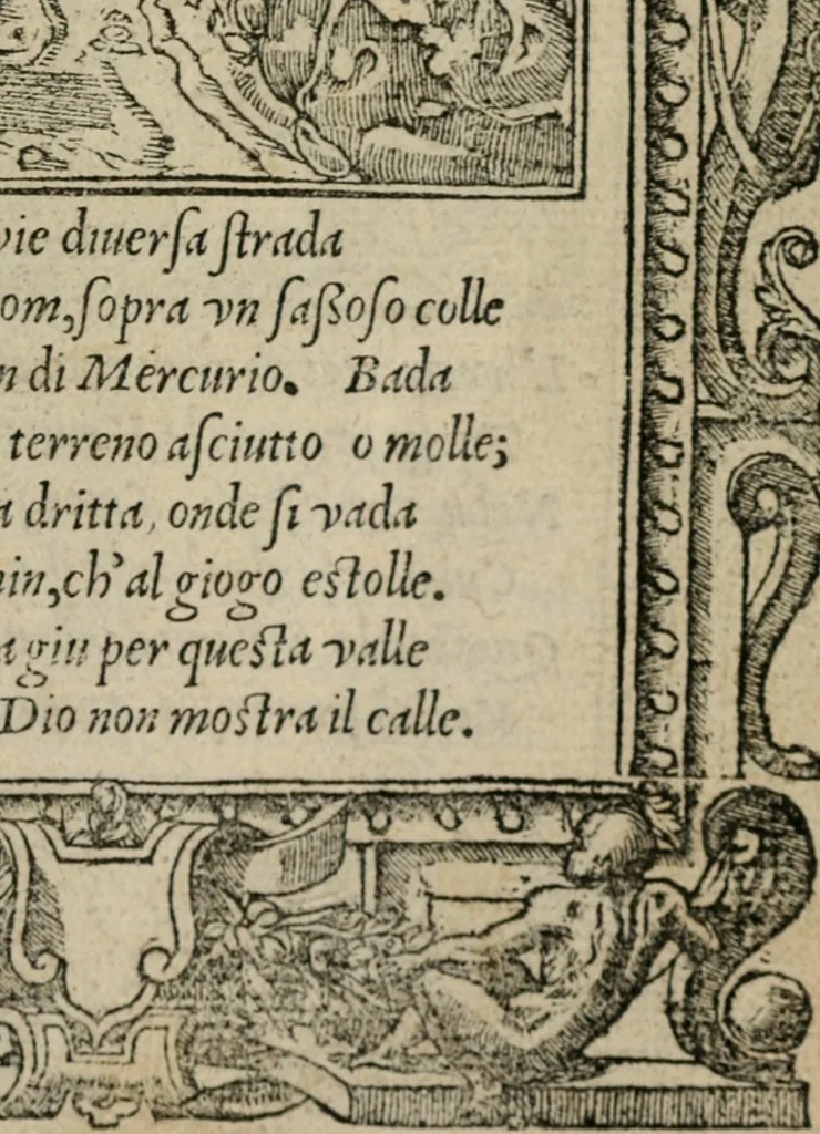 An illustration from Diuerse imprese accommodate a diuerse moralità : con versi che i loro significati dichiarano, 1549, leaf 12