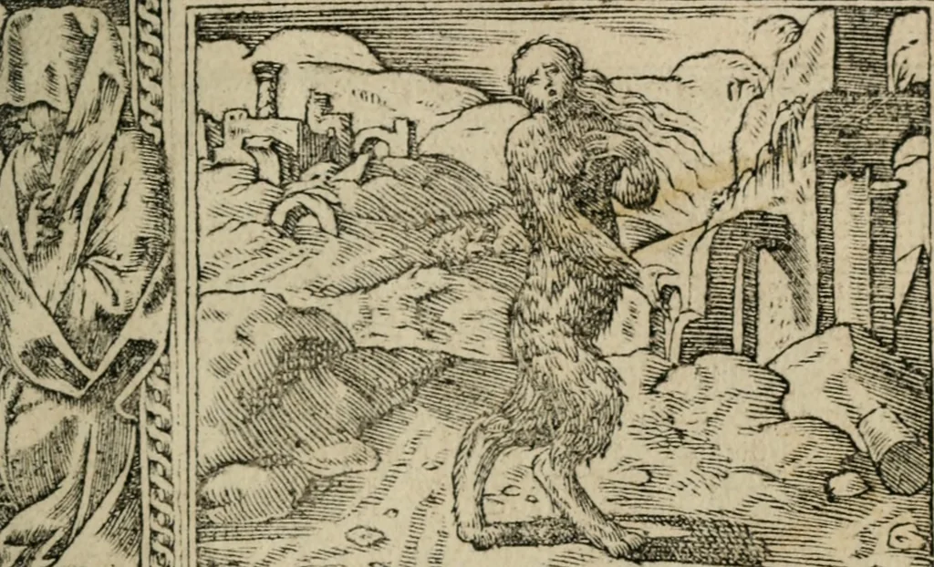 An illustration from Diuerse imprese accommodate a diuerse moralità : con versi che i loro significati dichiarano, 1549, leaf 128